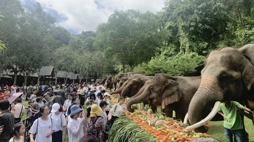 西雙版納-中國小泰國