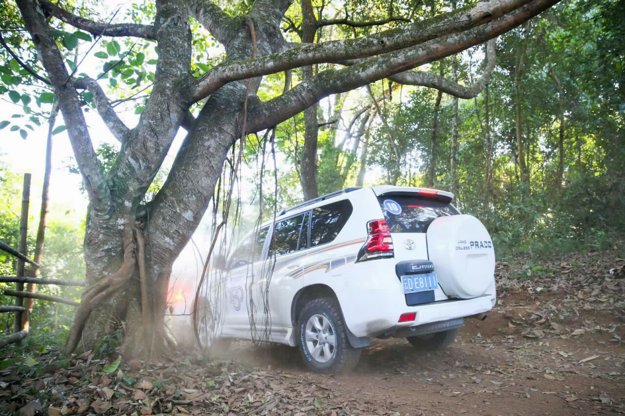 西雙版納南糯山試乘試駕