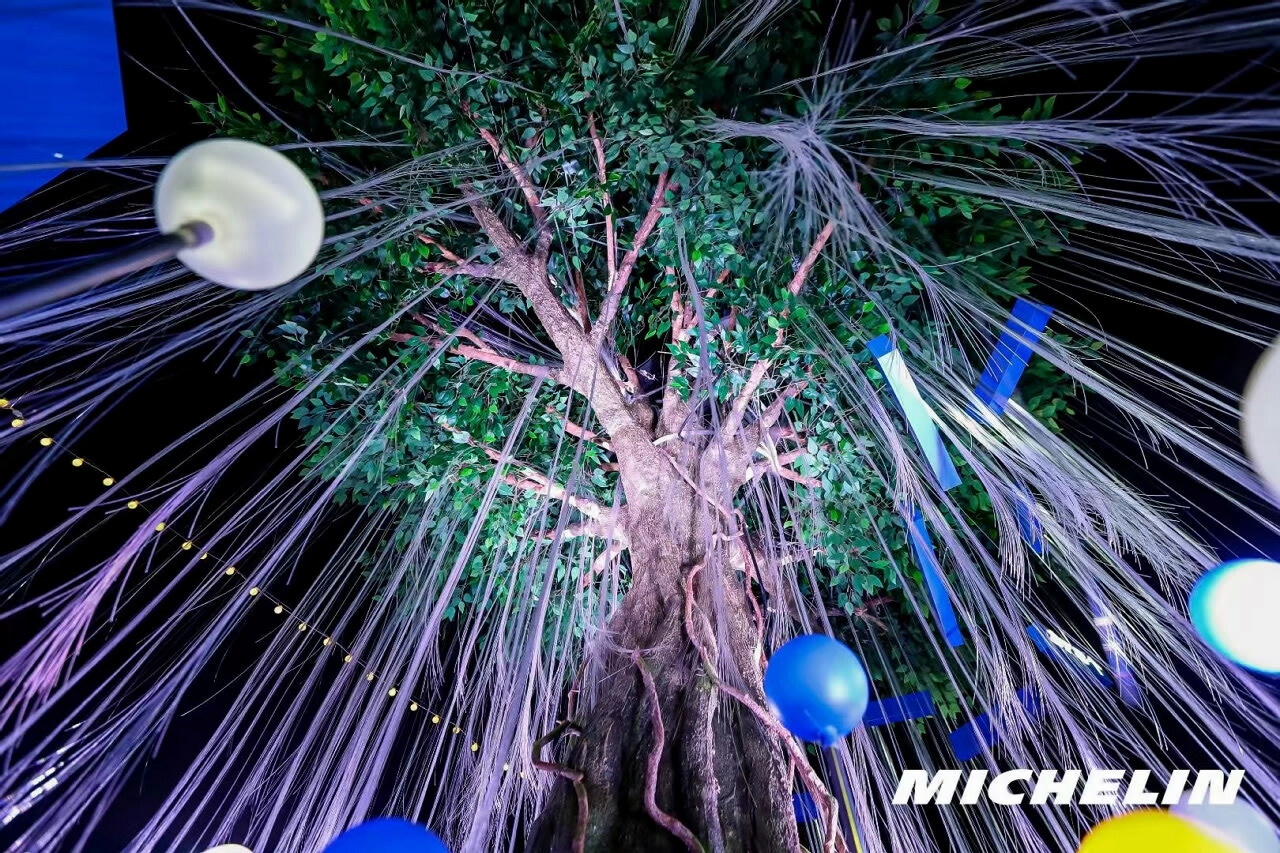 西雙版納新年派對(duì)