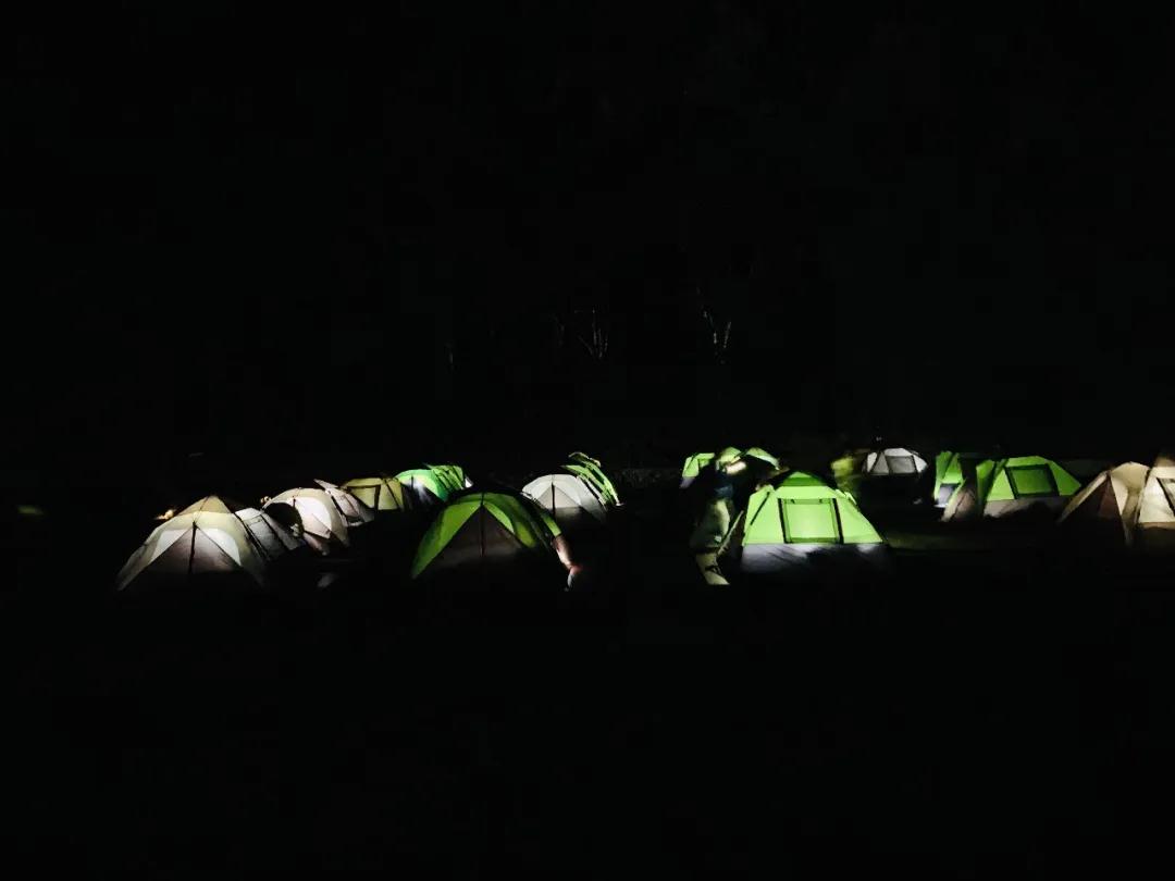 西雙版納旅行團(tuán)建