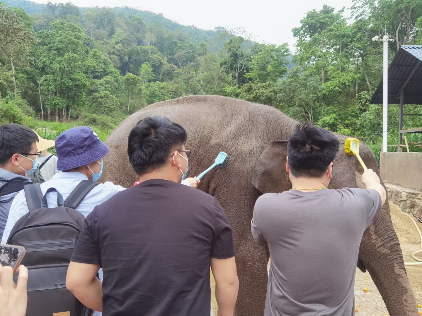 西雙版納旅行團(tuán)建