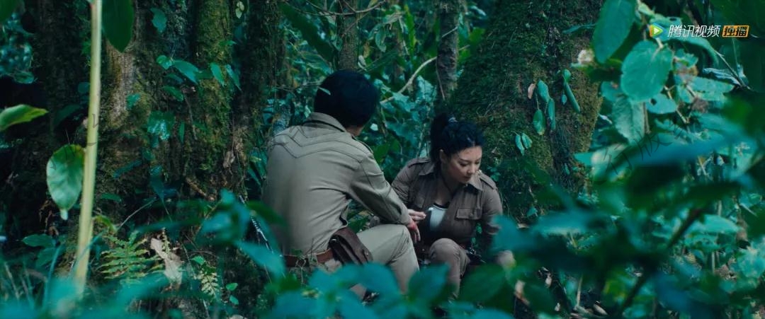 《云南蟲谷》取景地翁丁原始部落