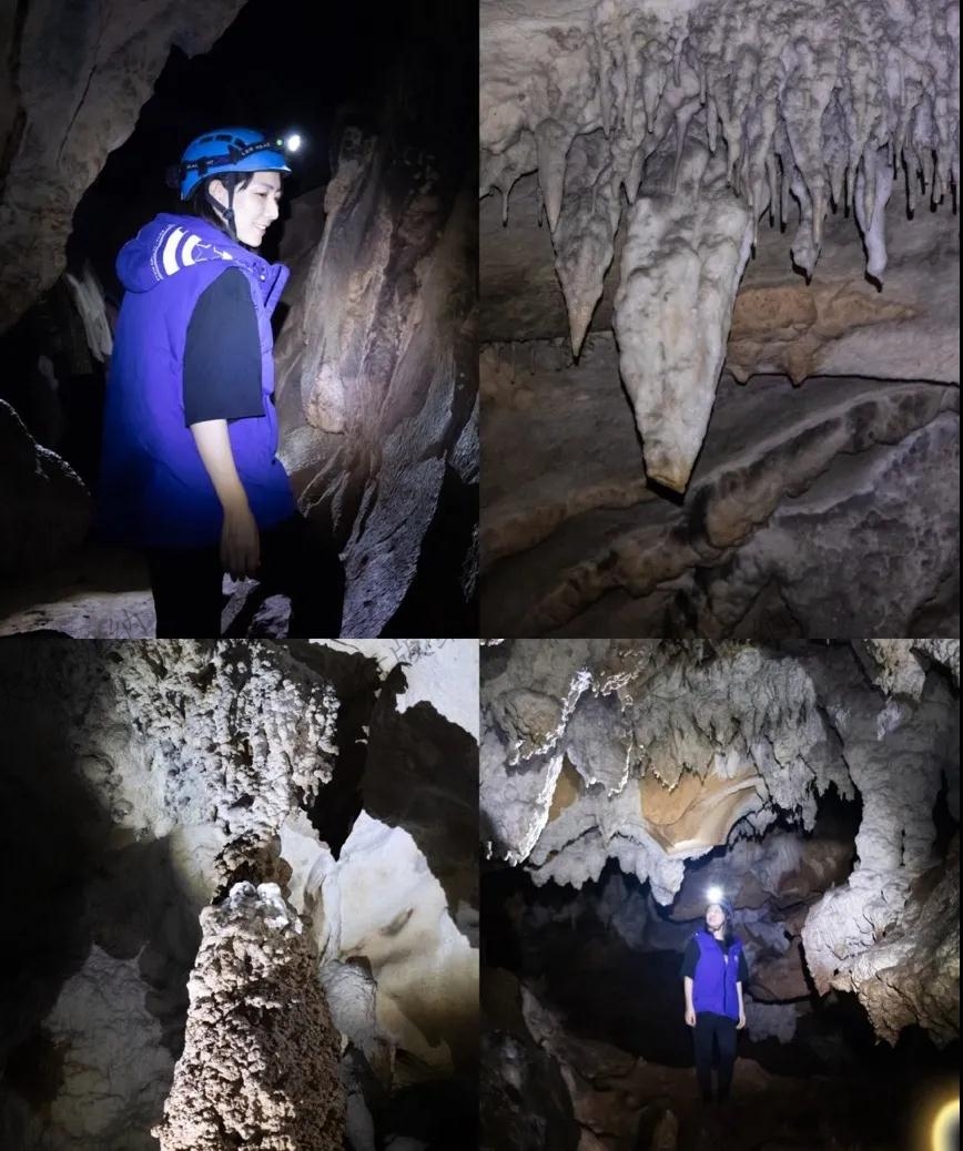 勐遠(yuǎn)仙境鳥瞰圖