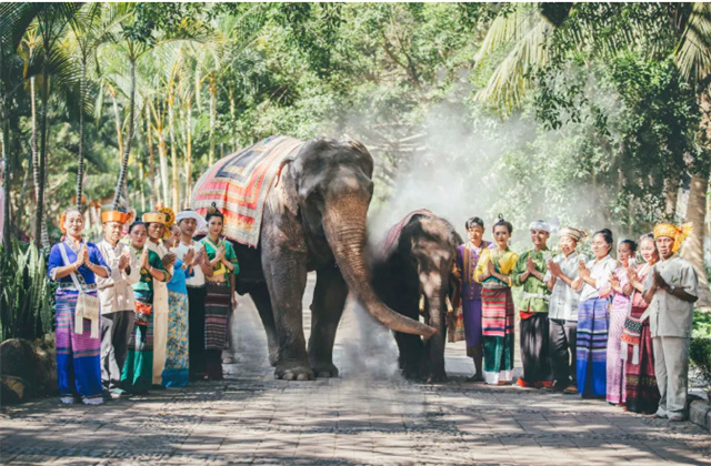 西雙版納生物多樣性之美 可愛的小象念念