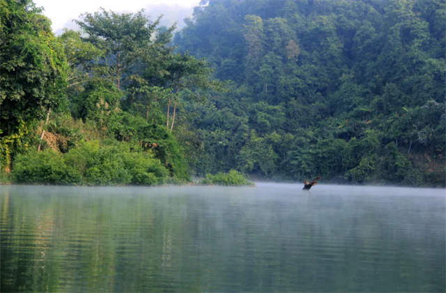 COP15 | 生物多樣性之西雙版納歡迎你