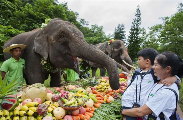 西雙版納再添“國字號”文旅消費試點新名片