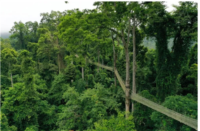 水路空全方位玩轉(zhuǎn)望天樹景區(qū)