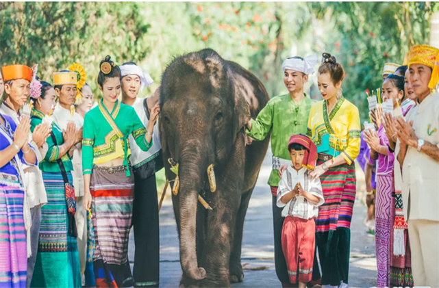 中老鐵路到我家-傣家情滿瀾滄江
