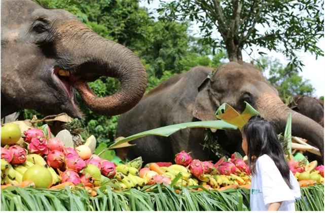 福利 | 中老鐵路開通當日，游客持列車票游州內景區(qū)享優(yōu)惠禮包！