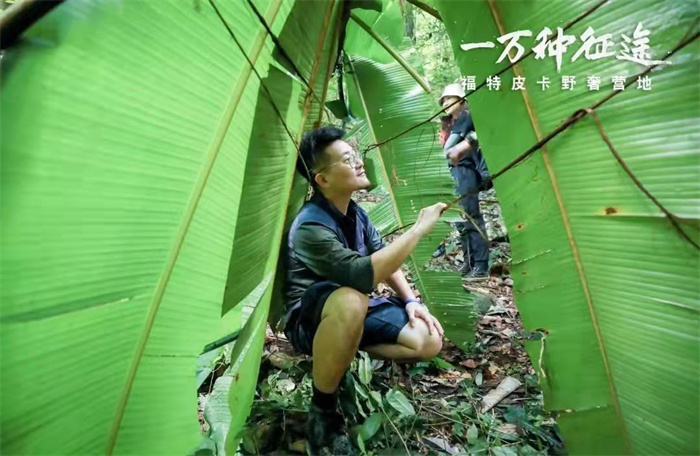 勐遠(yuǎn)仙境&福特中國(guó)｜2021一萬(wàn)種征途車(chē)主大會(huì)在勐遠(yuǎn)仙境舉辦，來(lái)西雙版納體驗(yàn)雨林穿越，感受特色團(tuán)建的魅力吧！