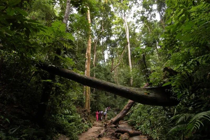 西雙版納旅游攻略