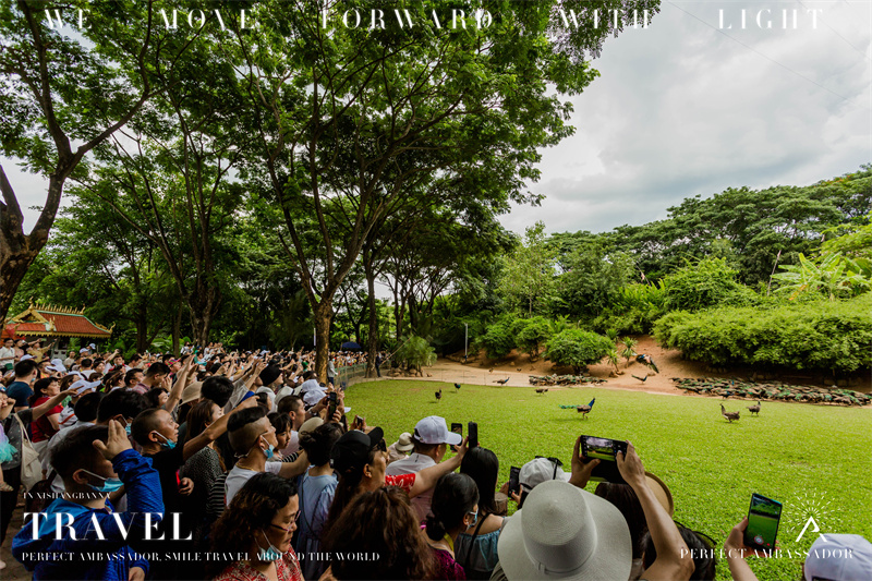 西雙版納湄公河景蘭大酒店告莊西雙景千人電音節(jié)