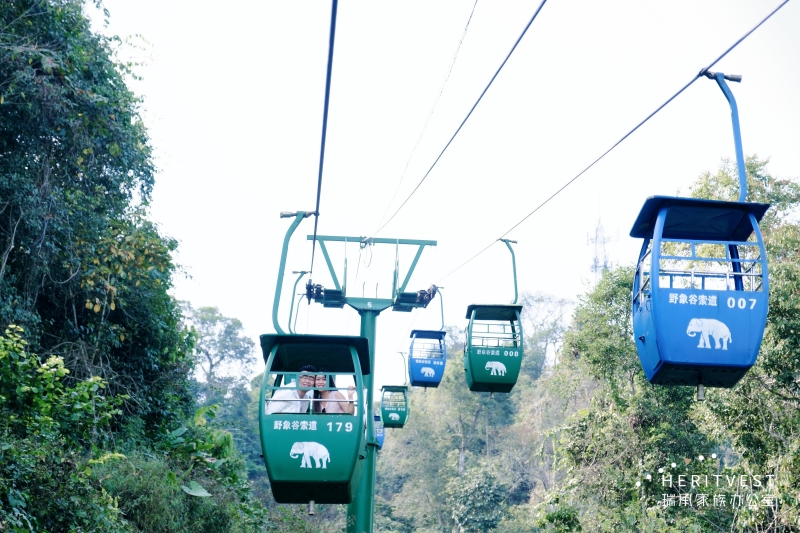 野象谷現(xiàn)場(chǎng)