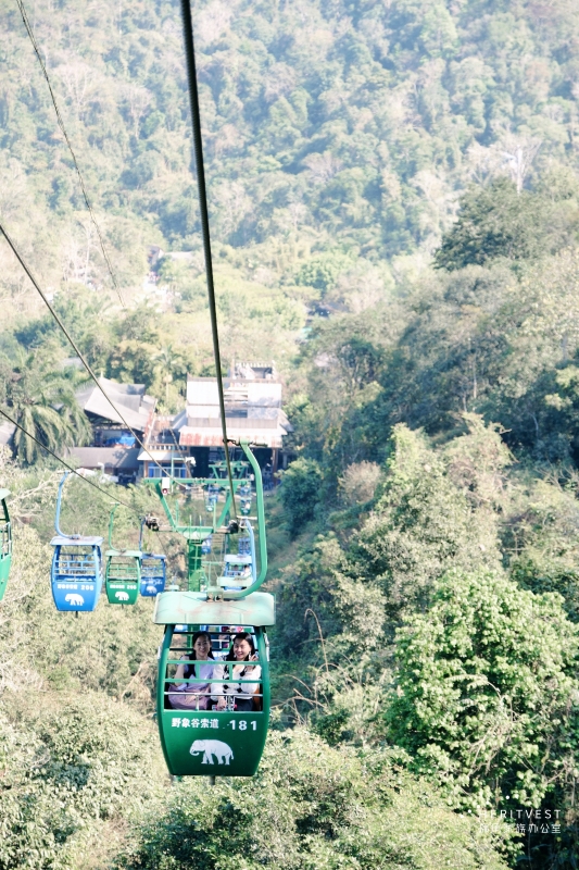 野象谷現(xiàn)場(chǎng)