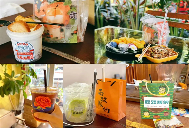 穿梭在熱帶雨林 - 西雙版納游記&攻略