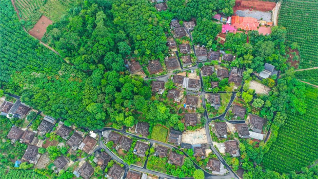 千年傣寨曼遠村：厚植生態(tài)底色 繪就綠美時光