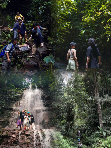 西雙版納探索靜謐的雨林，感受自然的治愈4條小眾徒步路線，保姆級攻略