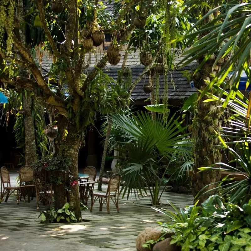 赴一趟非遺之旅，享一場(chǎng)文化盛宴