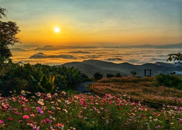 云南旅游,云南旅行社,云南團建公司,云南會議會展,西雙版納旅游,西雙版納旅行社,西雙版納團建公司：旅居西雙版納 | 基諾雨林尋幽探秘 傣鄉(xiāng)潑水賞花