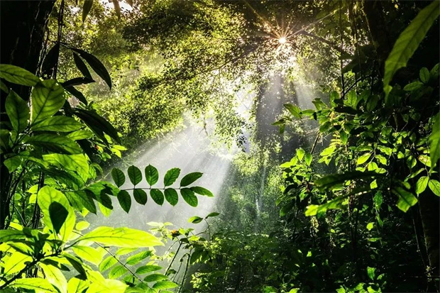 云南旅游,云南旅行社,云南團(tuán)建公司,云南會(huì)議公司,云南策劃公司,西雙版納旅游,西雙版納旅行社,西雙版納團(tuán)建公司,西雙版納策劃公司：來西雙版納，慢下來、靜下來、住下來！