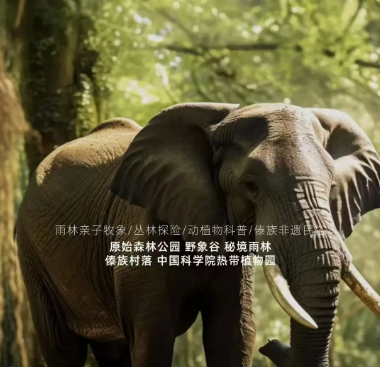 秋冬天來云南旅游團建是個不錯的選擇云南旅行社,云南團建公司,云南策劃公司,云南會議會展,云南策劃執(zhí)行：云南避寒暖冬之旅